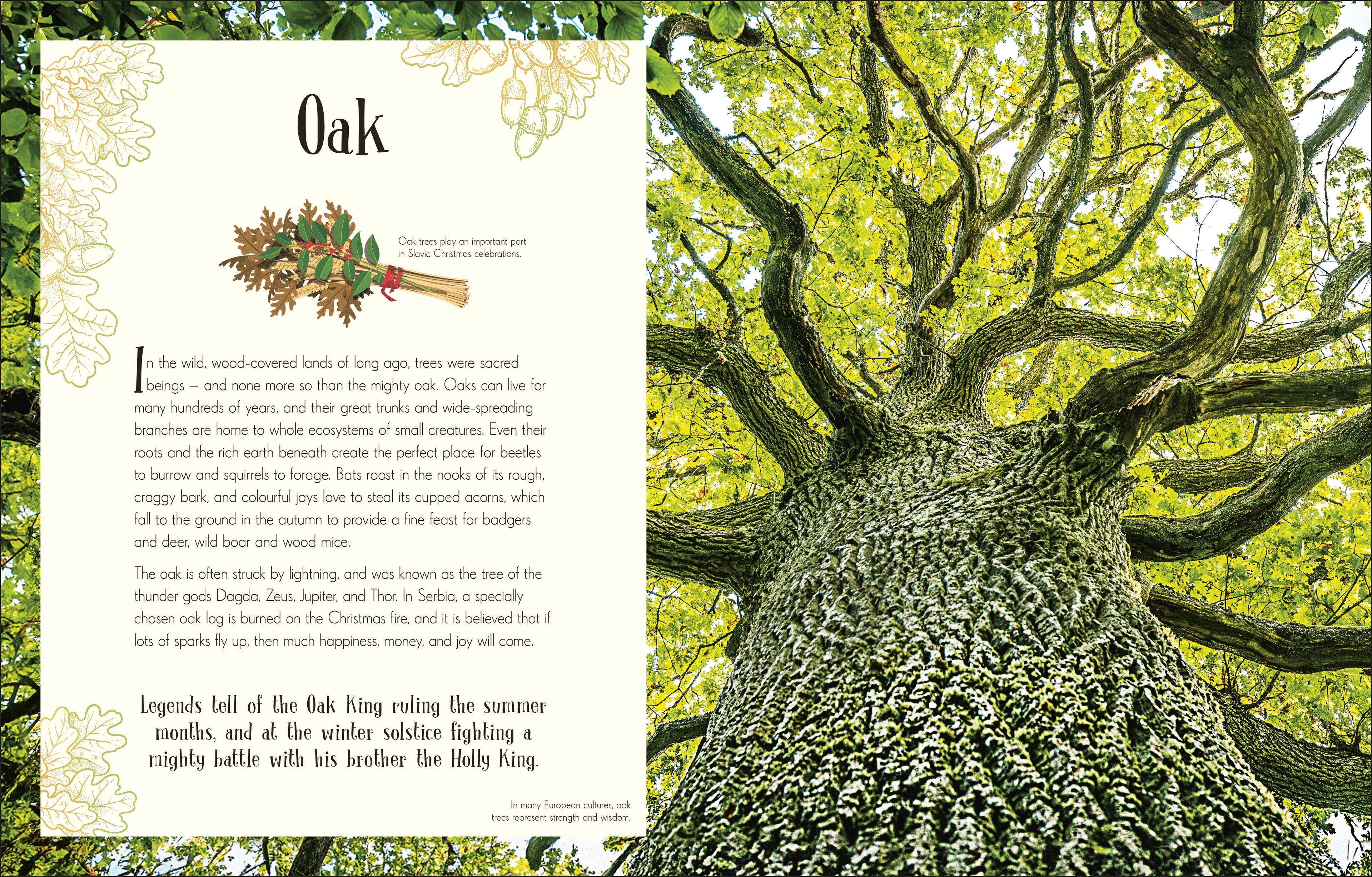 An Anthology of Christmas