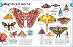 Our World in Pictures Bugs, Butterflies, Beetles and Bees