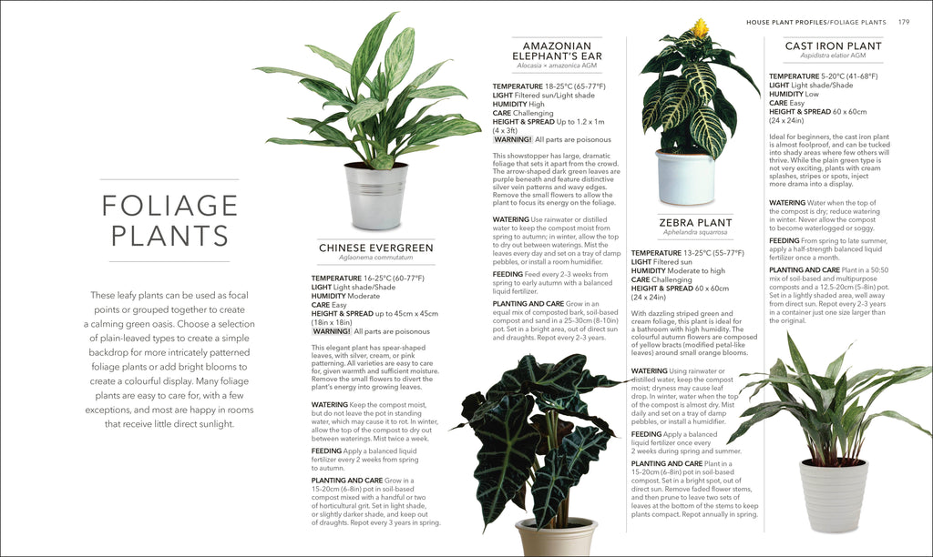 rhs indoor plants RHS House Plant – DK