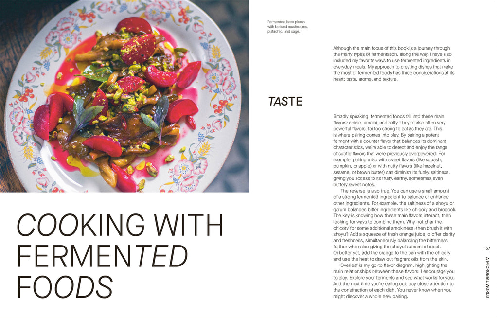 The Fermentation Kitchen-Spread, Image, (PRHC, Design, Do, Not, Use)-3