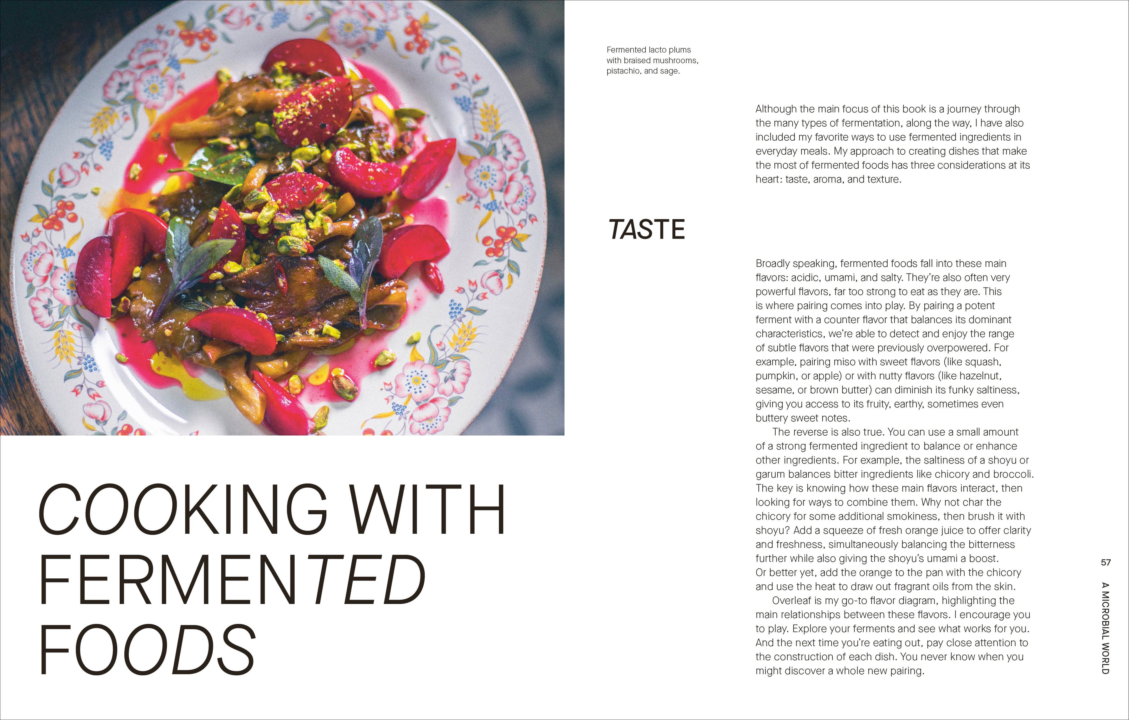 The Fermentation Kitchen-Spread, Image, (PRHC, Design, Do, Not, Use)-3