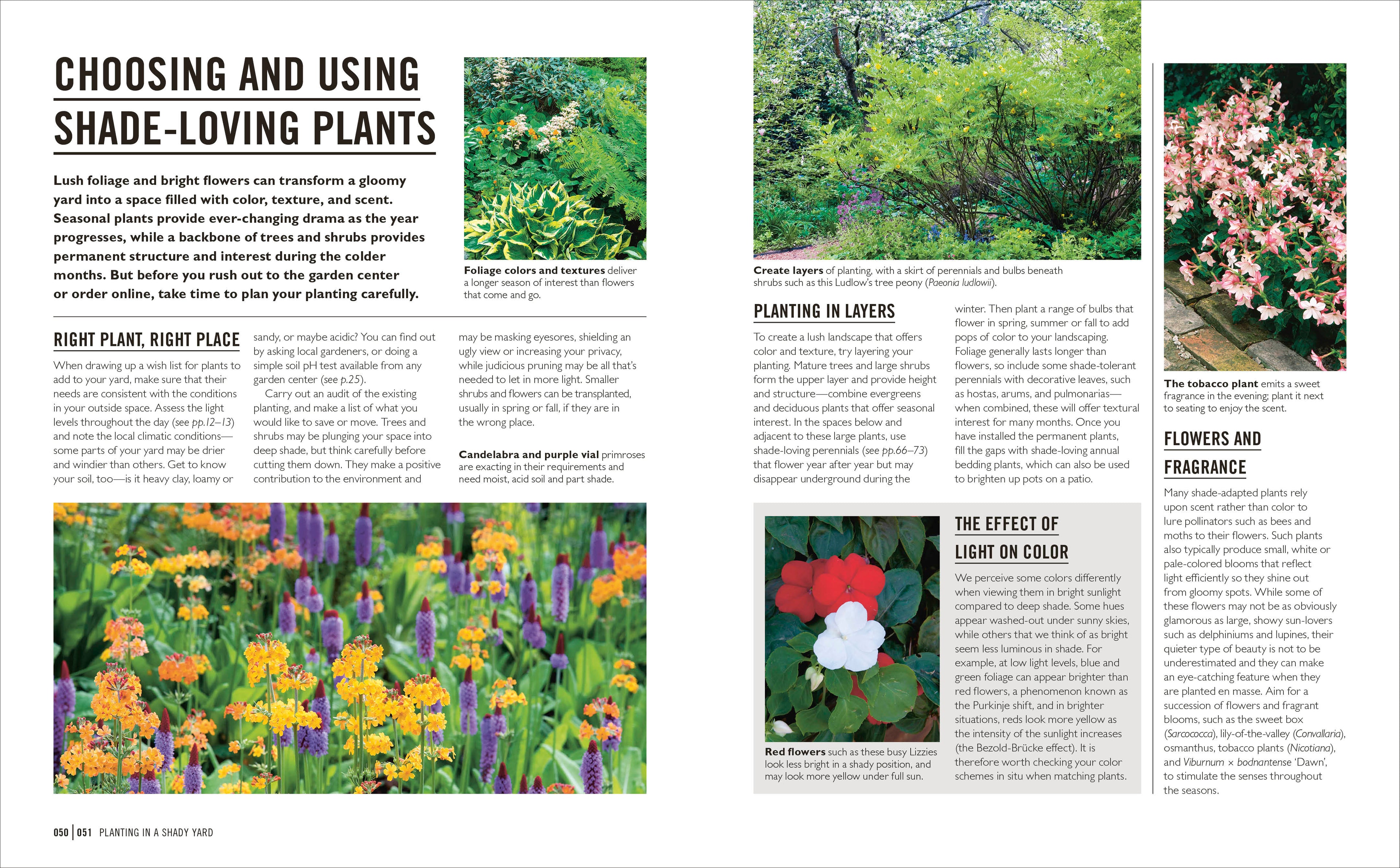 Grow Shade Garden-Spread, Image, (PRHC, Design, Do, Not, Use)-4