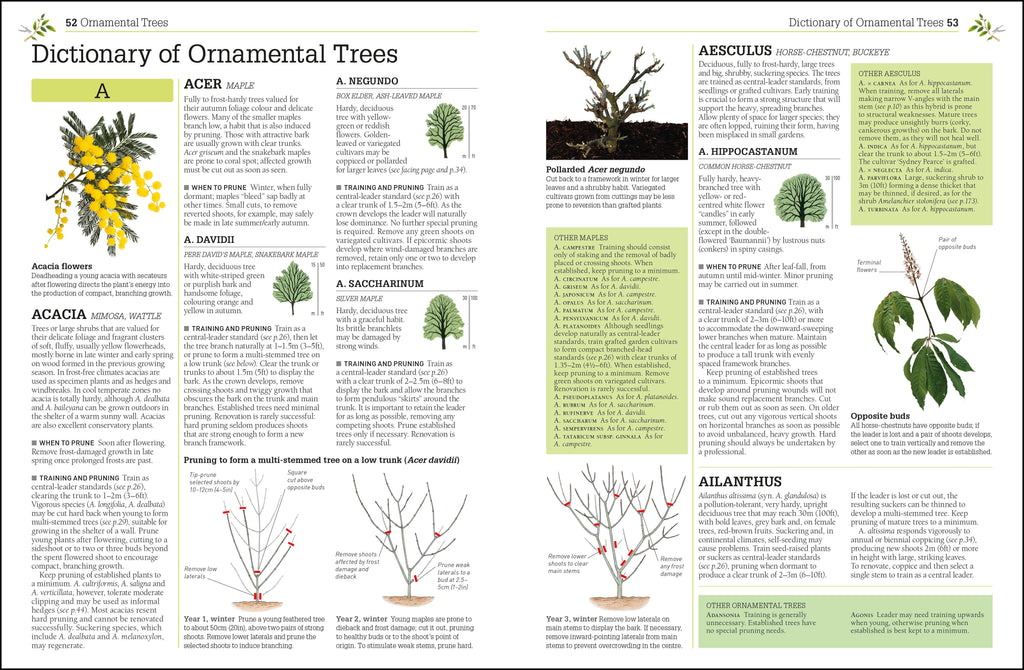 RHS Pruning and Training