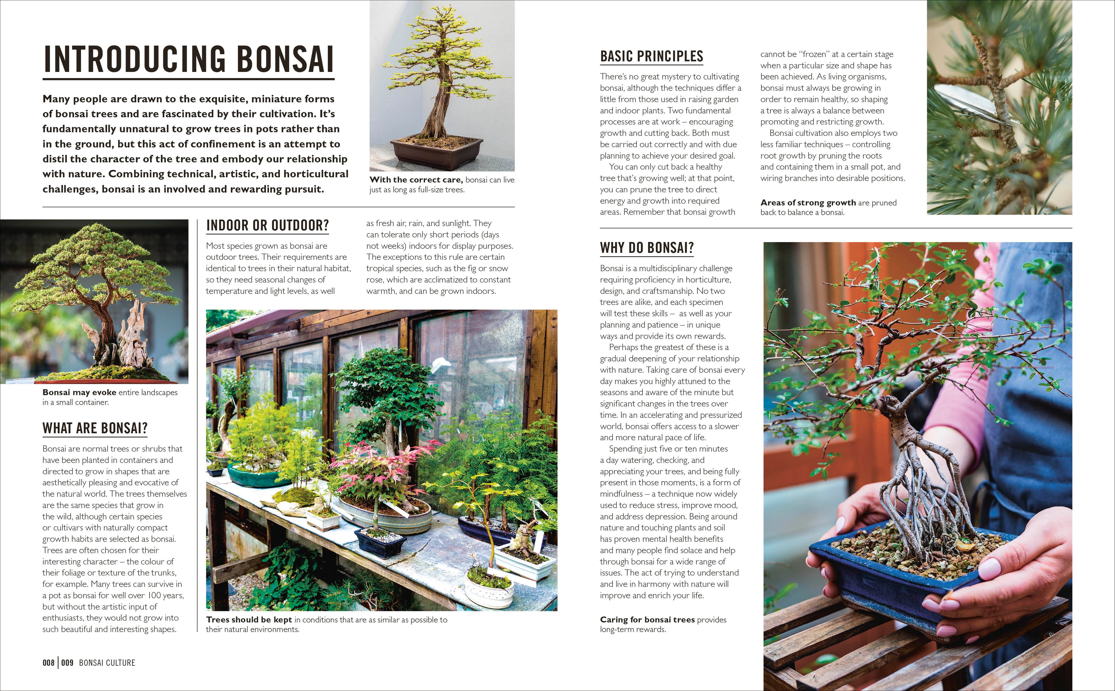 Grow Bonsai-Spread, Image, (PRHC, Design, Do, Not, Use)-2