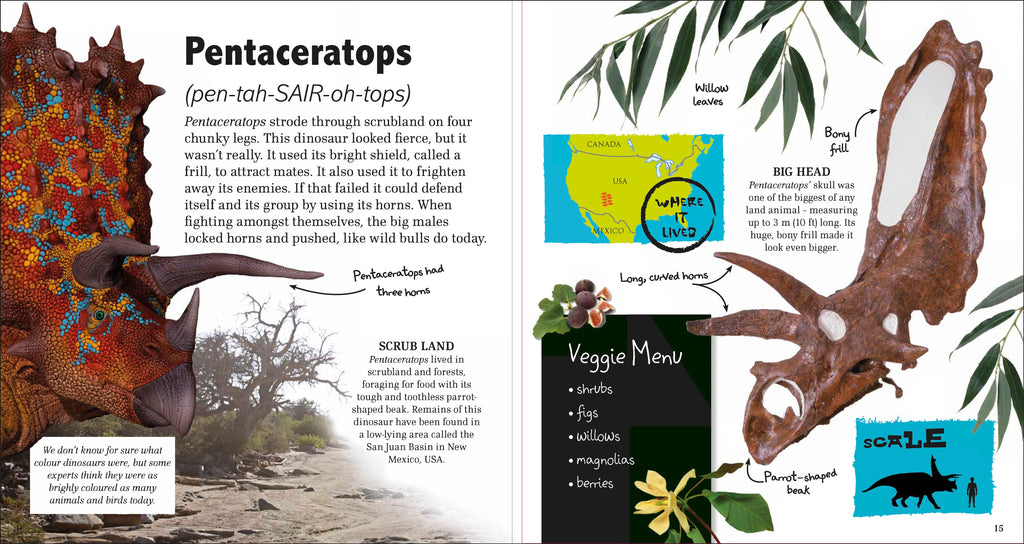 Early Years Collection