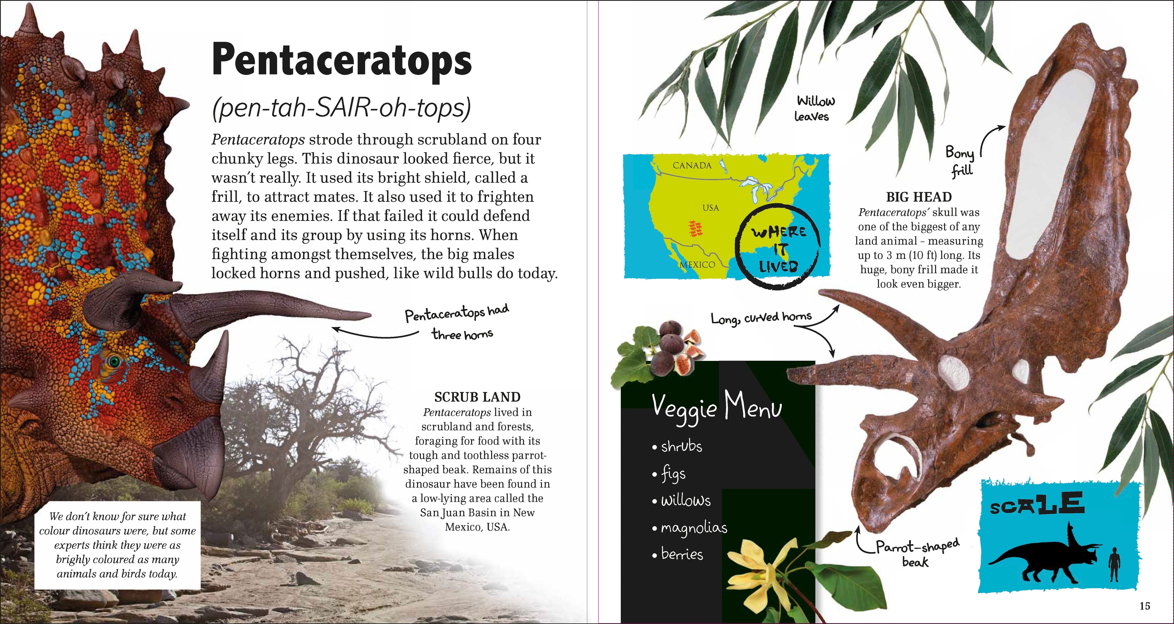 Early Years Collection