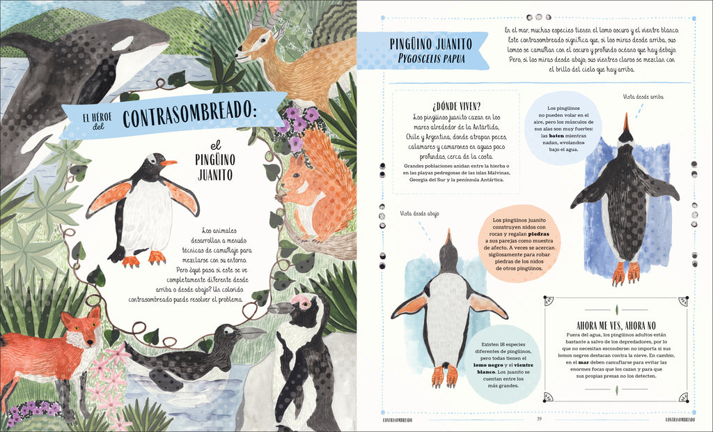 Fauna (Wild)-Spread, Image, (PRHC, Design, Do, Not, Use)-3