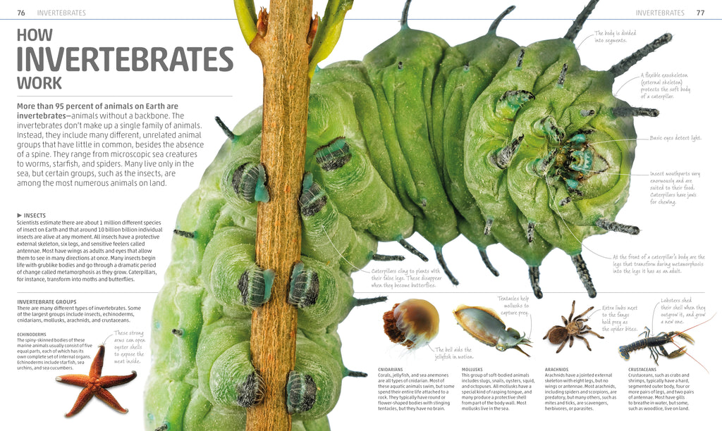 Explanatorium of Nature