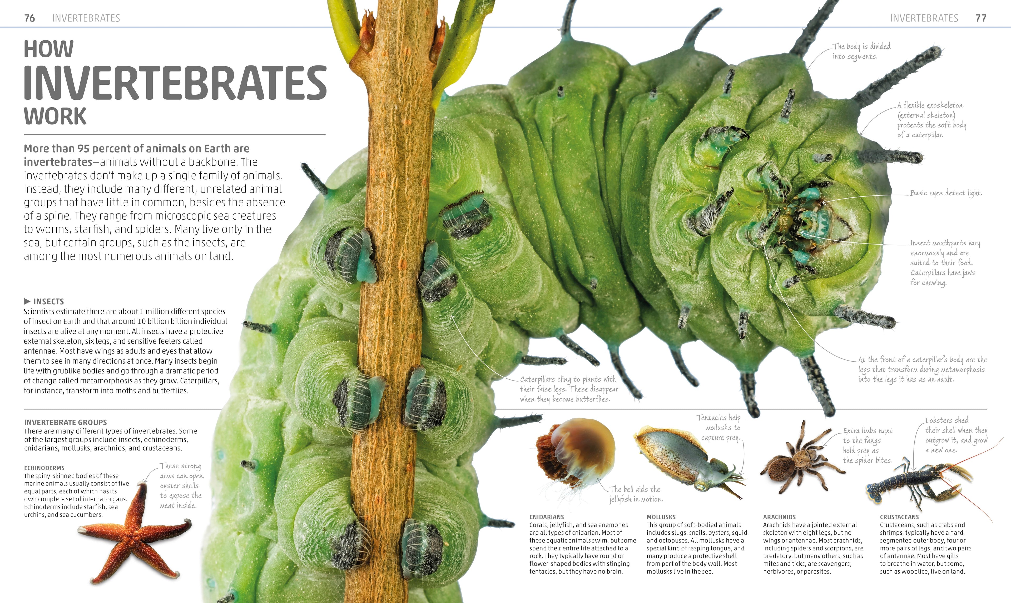 Explanatorium of Nature