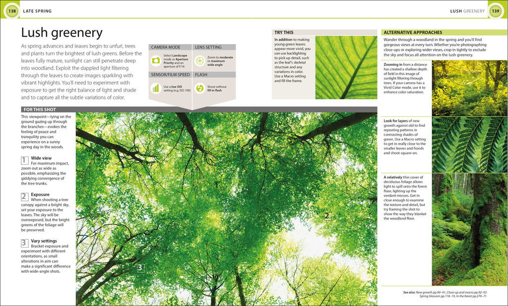 Digital Photography Through Yr