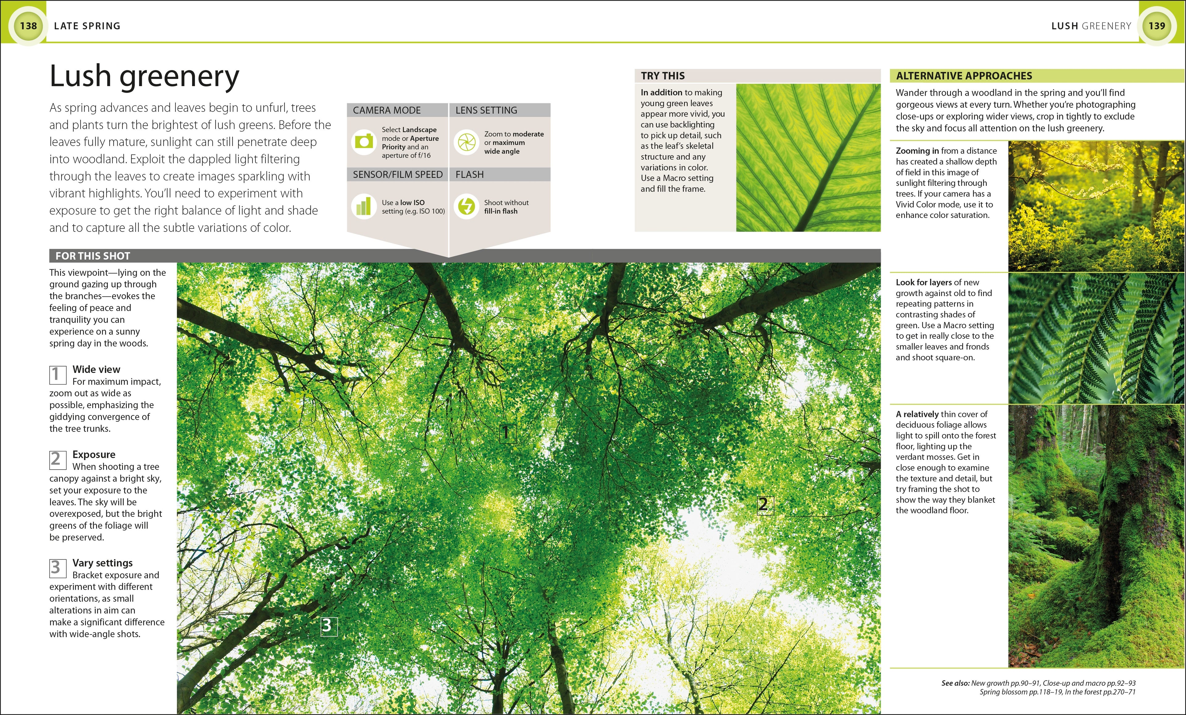 Digital Photography Through Yr