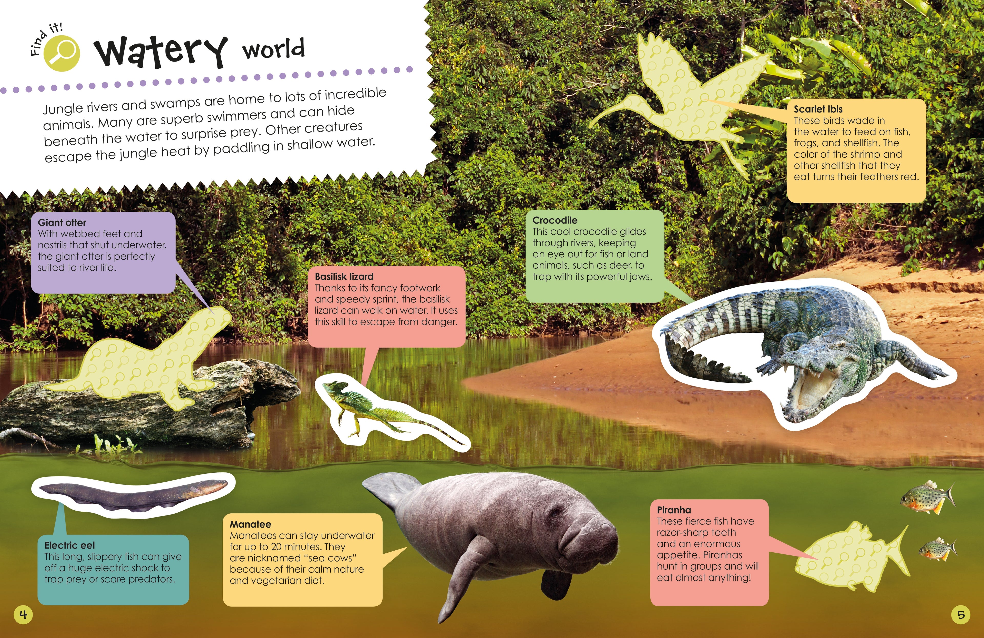 Ultimate Sticker Book: Jungle