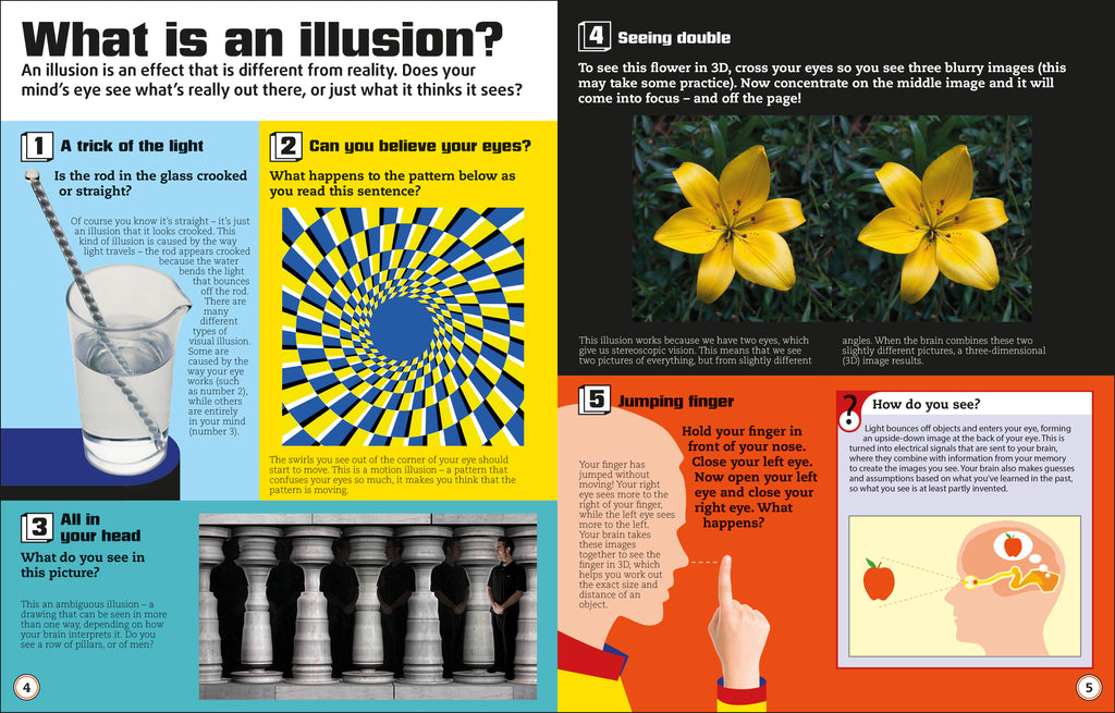 Optical Illusions-spread image