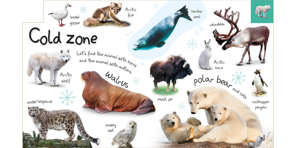 Tabbed Board Books: My First Zoo