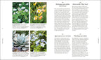 A Plant for Every Day of the Year-Spread, Image, (PRHC, Design, Do, Not, Use)-2