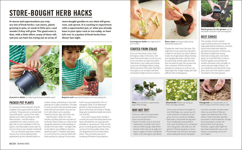 Grow Herbs-Spread, Image, (PRHC, Design, Do, Not, Use)-3