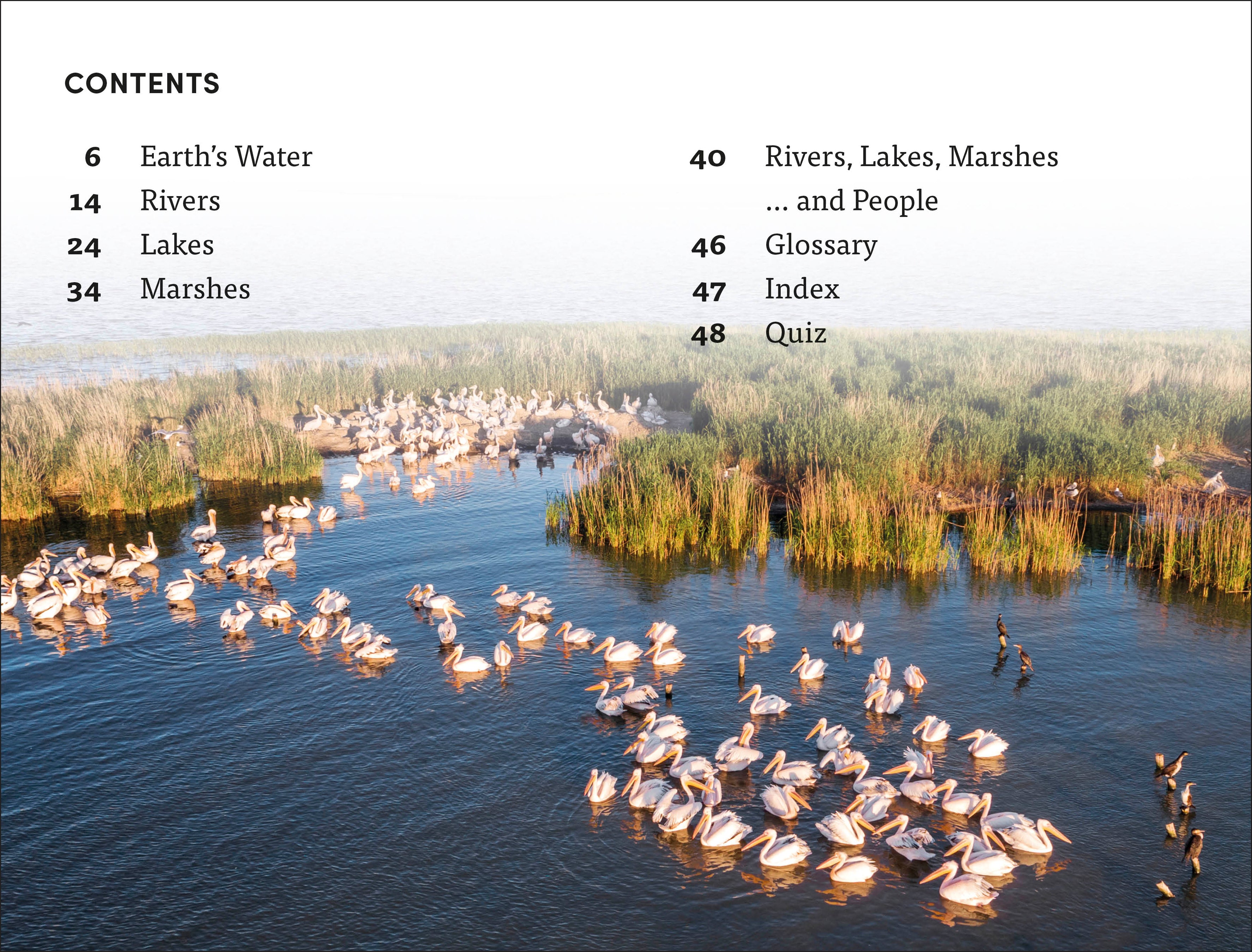 DK Super Readers Level 4 Rivers, Lakes and Marshes