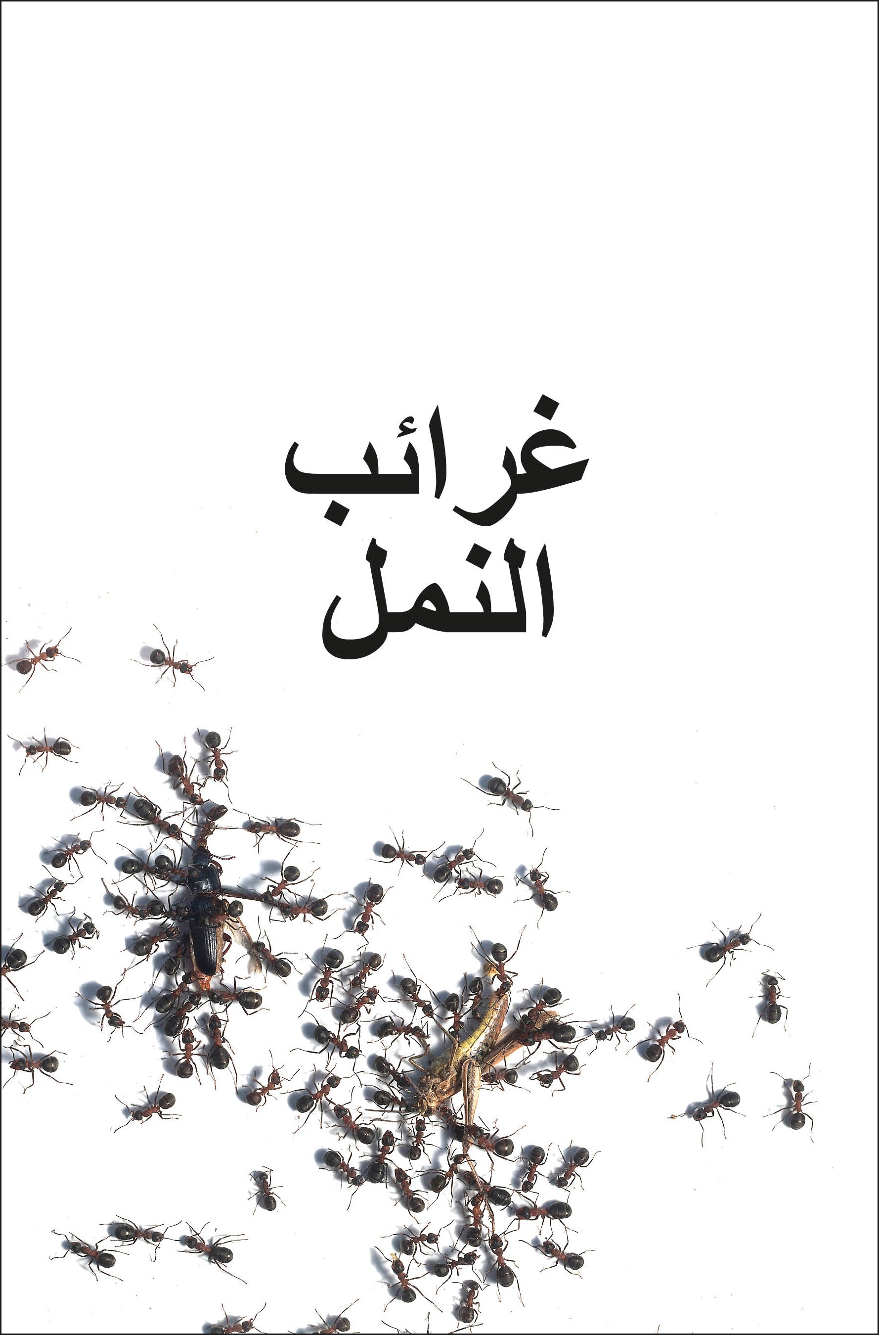 DK Super Readers Level 3 Ant Antics (Arabic translation)-Spread, Image, (PRHC, Design, Do, Not, Use)-1