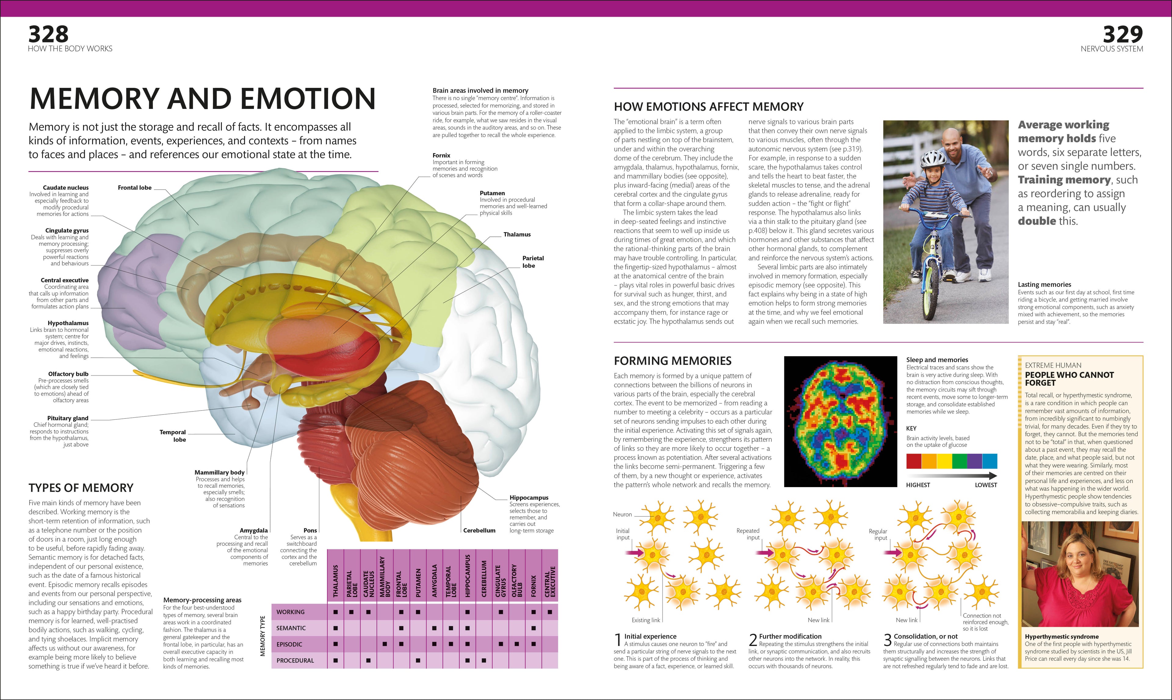 The Complete Human Body