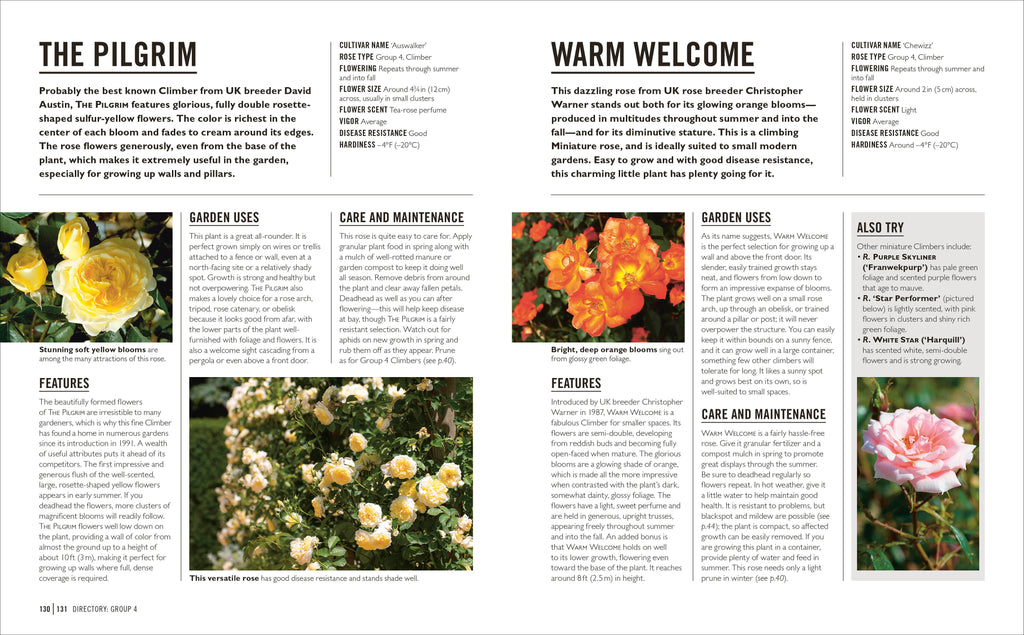 Grow Roses-Spread, Image, (PRHC, Design, Do, Not, Use)-6