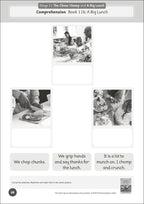 Phonic Books Dandelion World Extras Stages 8-15 Activities