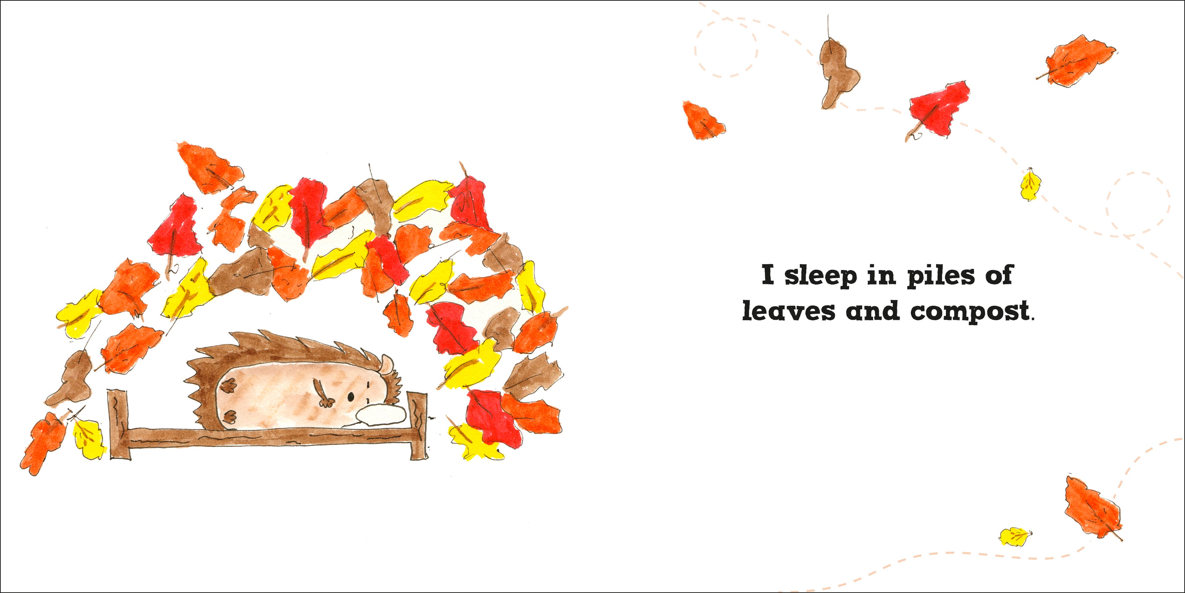 Roly the Hedgehog-Spread, Image, (PRHC, Design, Do, Not, Use)-1