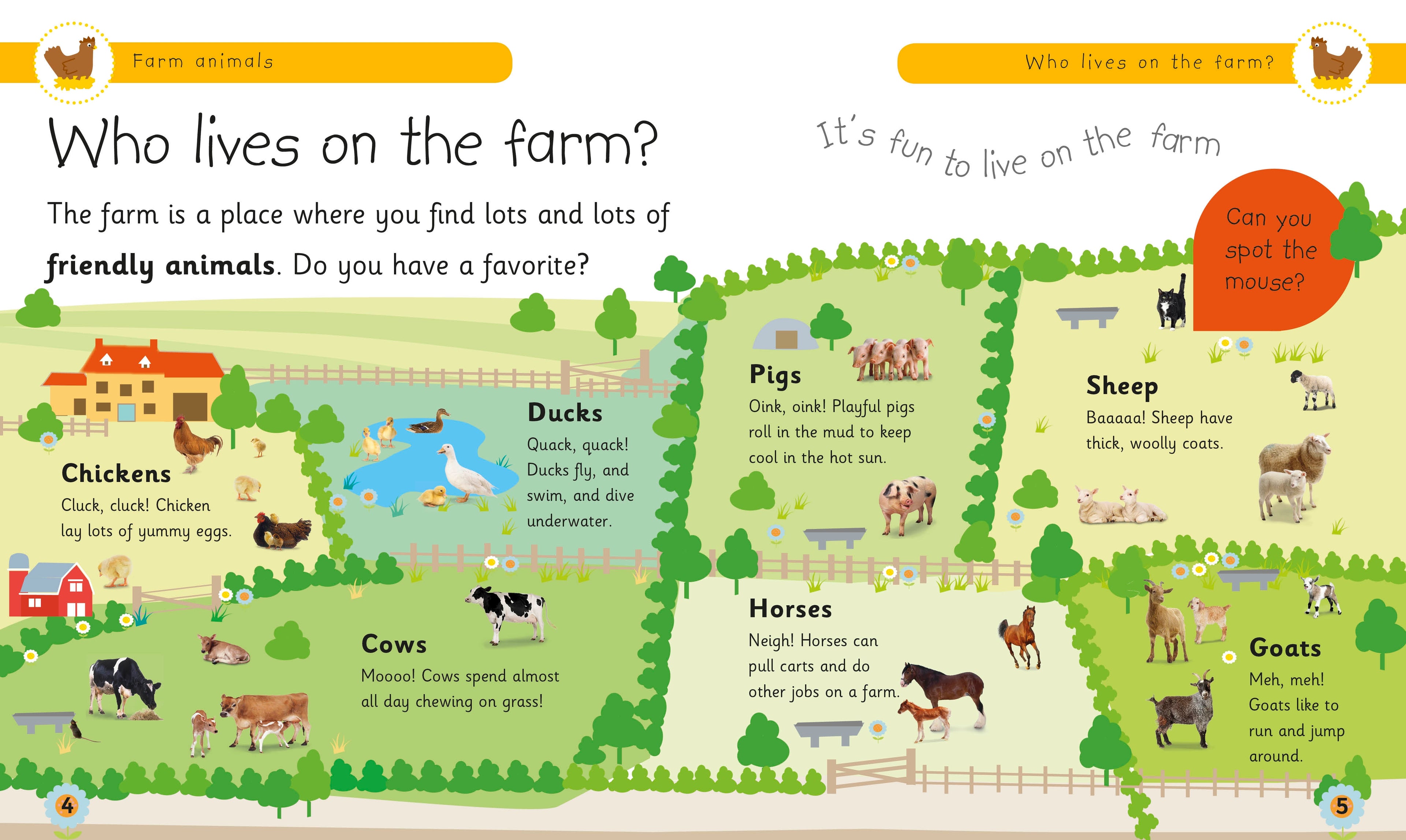 Farm Animals