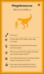 My First Dinosaur Flash Cards