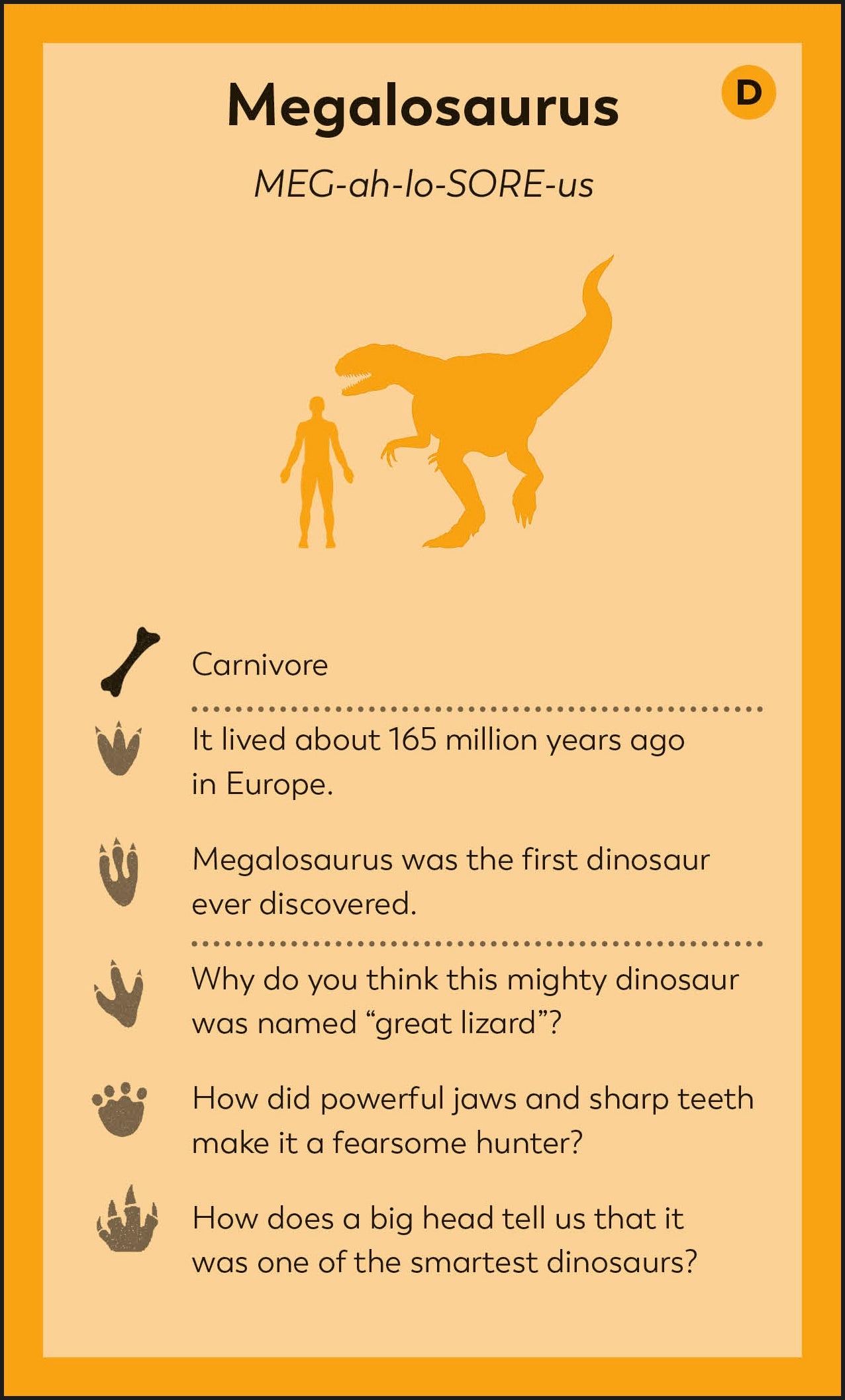 My First Dinosaur Flash Cards