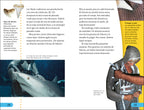 DK Super Readers Level 4 Ataques de tiburones (Shark Attack)-Spread, Image, (PRHC, Design, Do, Not, Use)-5