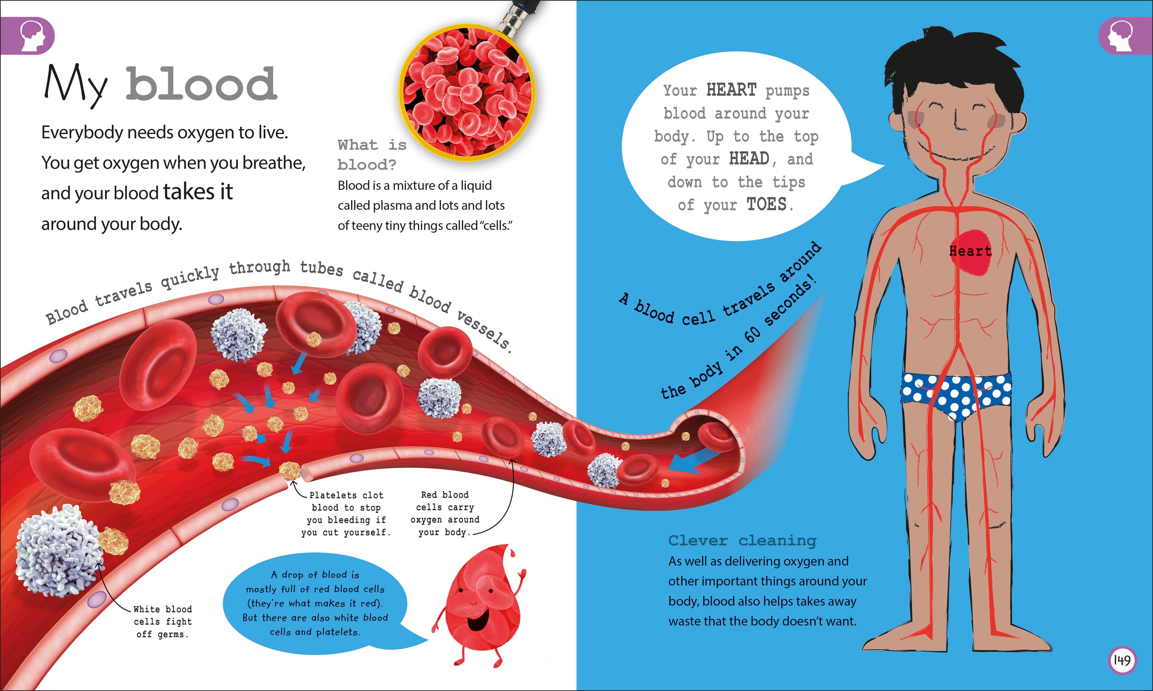 My Encyclopedia of Very Important Things Collection-image