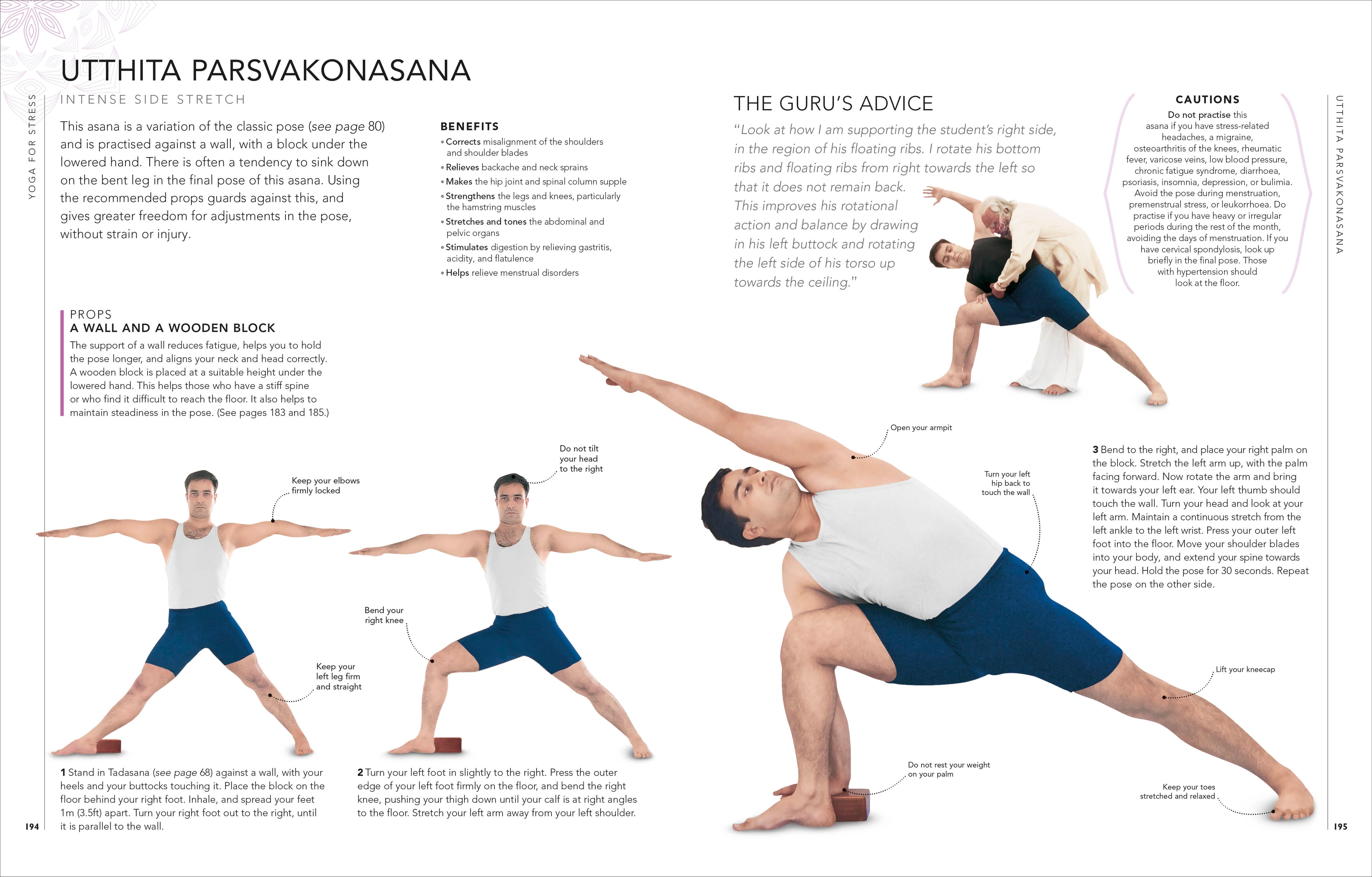 B.K.S. Iyengar Yoga The Path to Holistic Health – DK