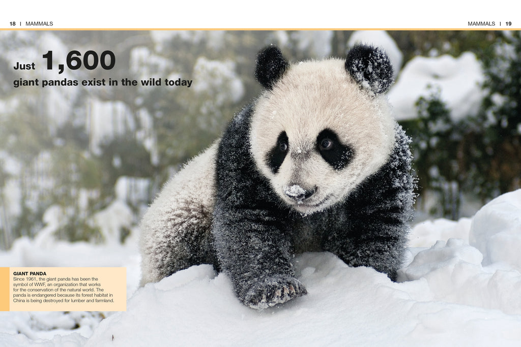 Pocket Genius: Mammals