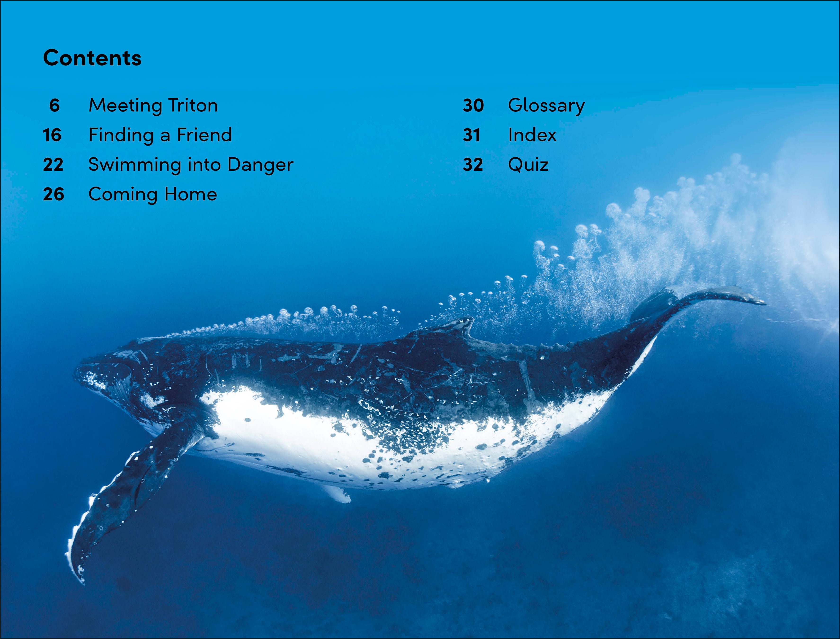 DK Super Readers Level 2 Journey of a Humpback Whale