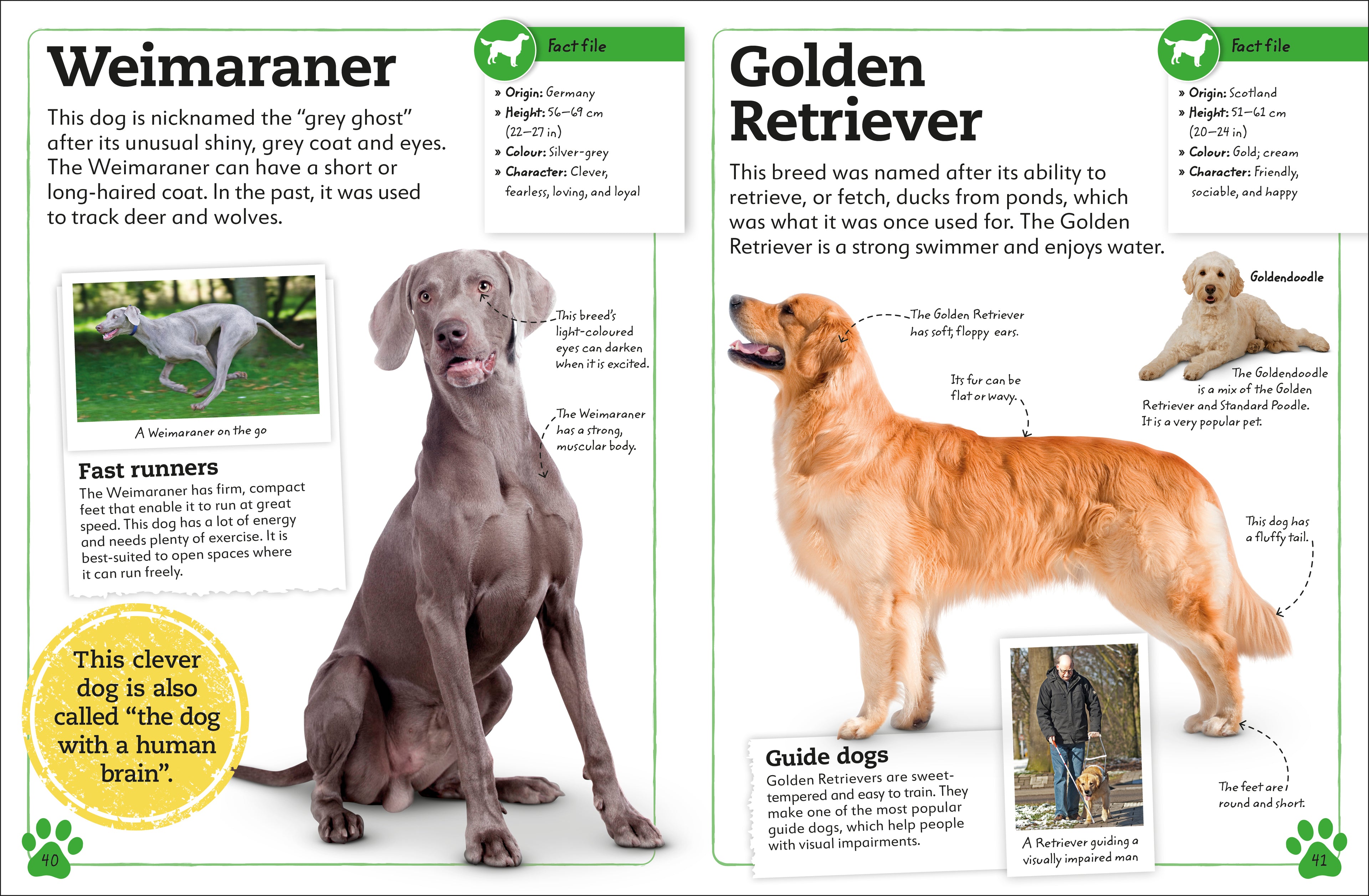 My Book of Dogs and Puppies