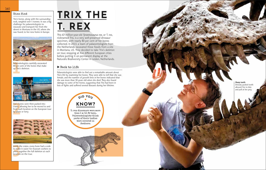 Behind the Scenes at the Museum