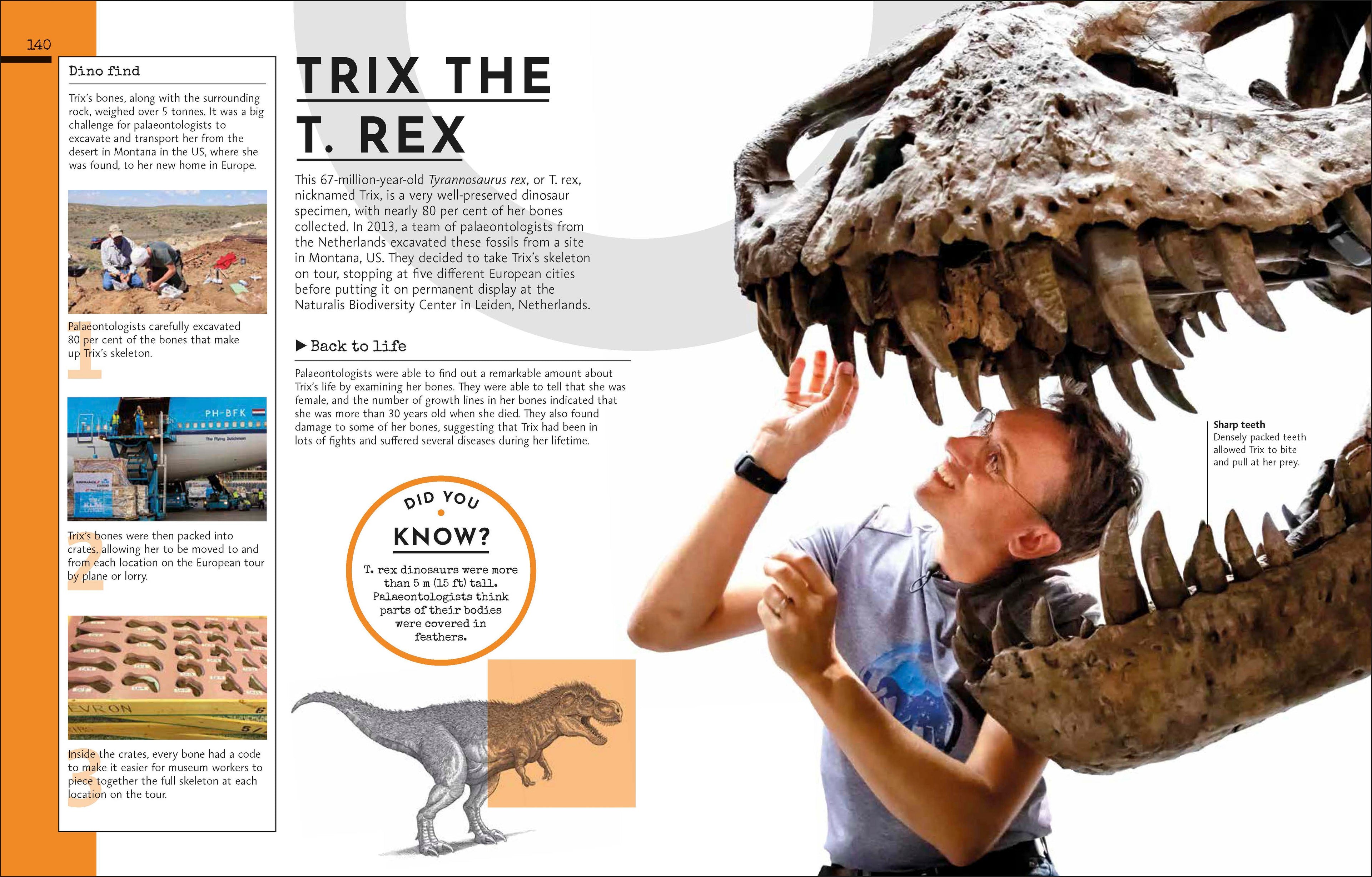 Behind the Scenes at the Museum