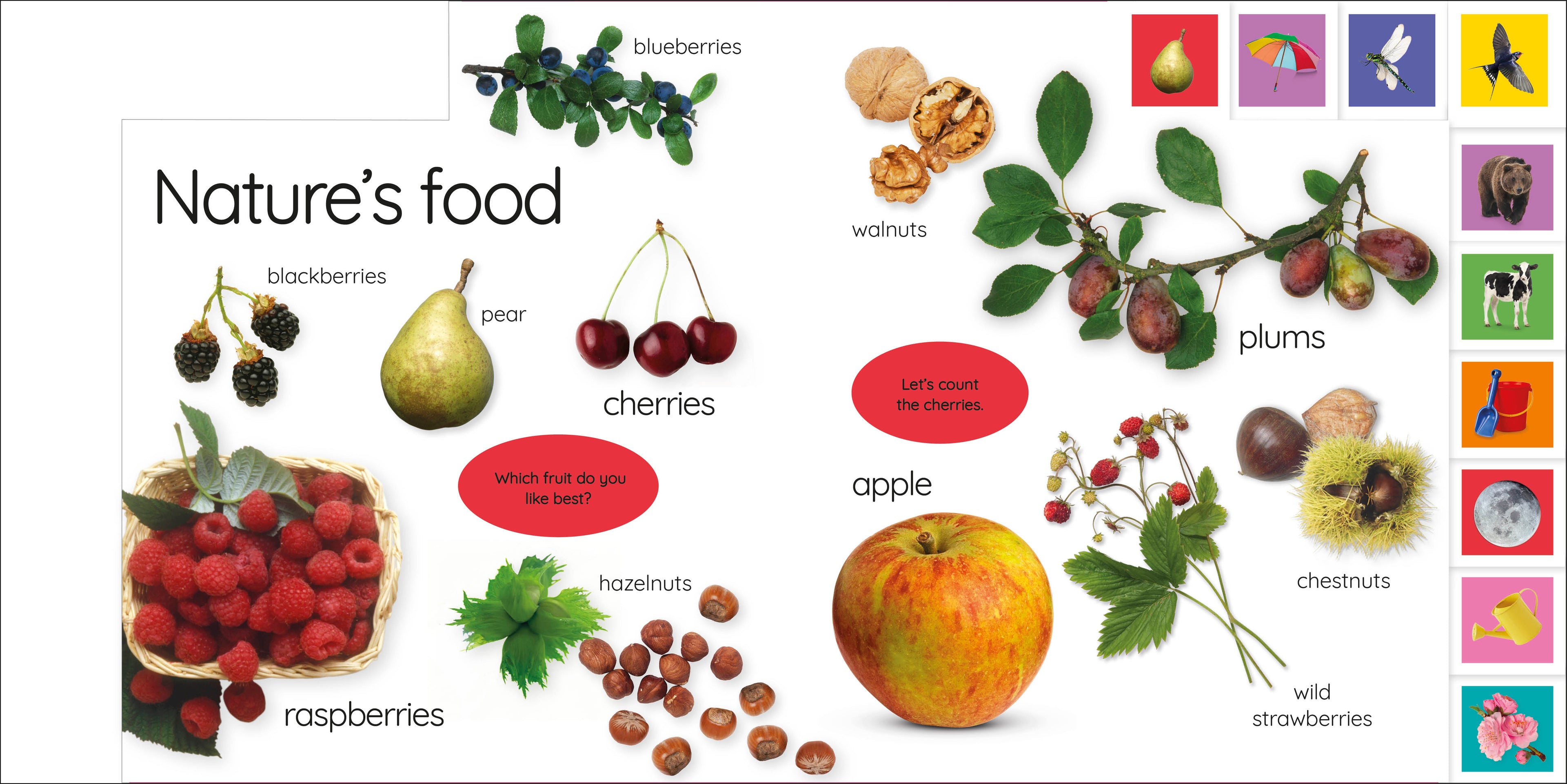 My First Nature: Let's Go Exploring!-Spread, Image, (PRHC, Design, Do, Not, Use)-2