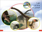 DK Super Readers Pre-level Meet the Dinosaurs (Arabic translation)-Spread, Image, (PRHC, Design, Do, Not, Use)-2