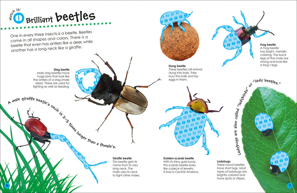 Ultimate Sticker Book Bugs