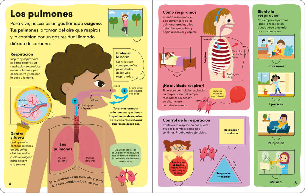 Yo y mi cuerpo (You and Your Body)-Spread, Image, (PRHC, Design, Do, Not, Use)-2