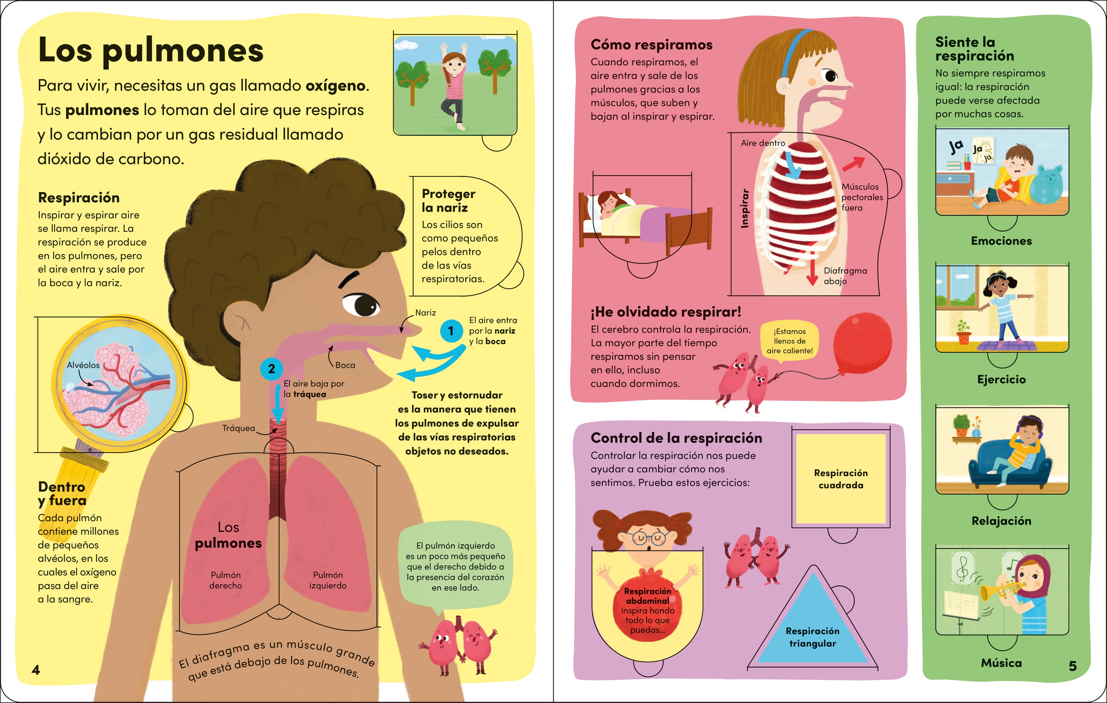 Yo y mi cuerpo (You and Your Body)-Spread, Image, (PRHC, Design, Do, Not, Use)-2