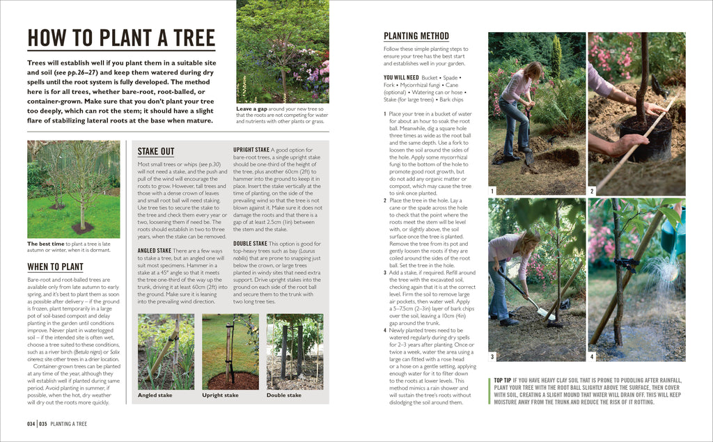 Grow Trees-Spread, Image, (PRHC, Design, Do, Not, Use)-4