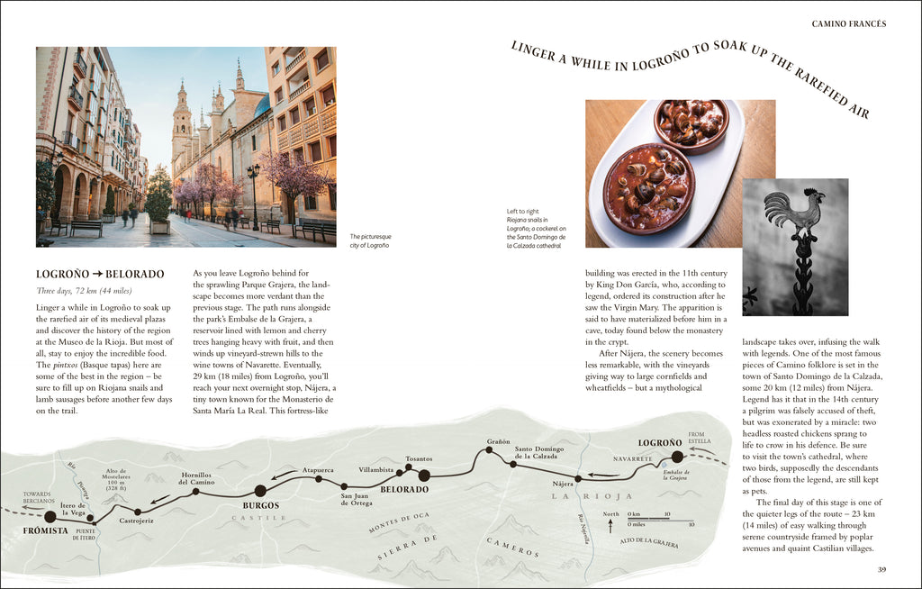 Walking the Camino de Santiago