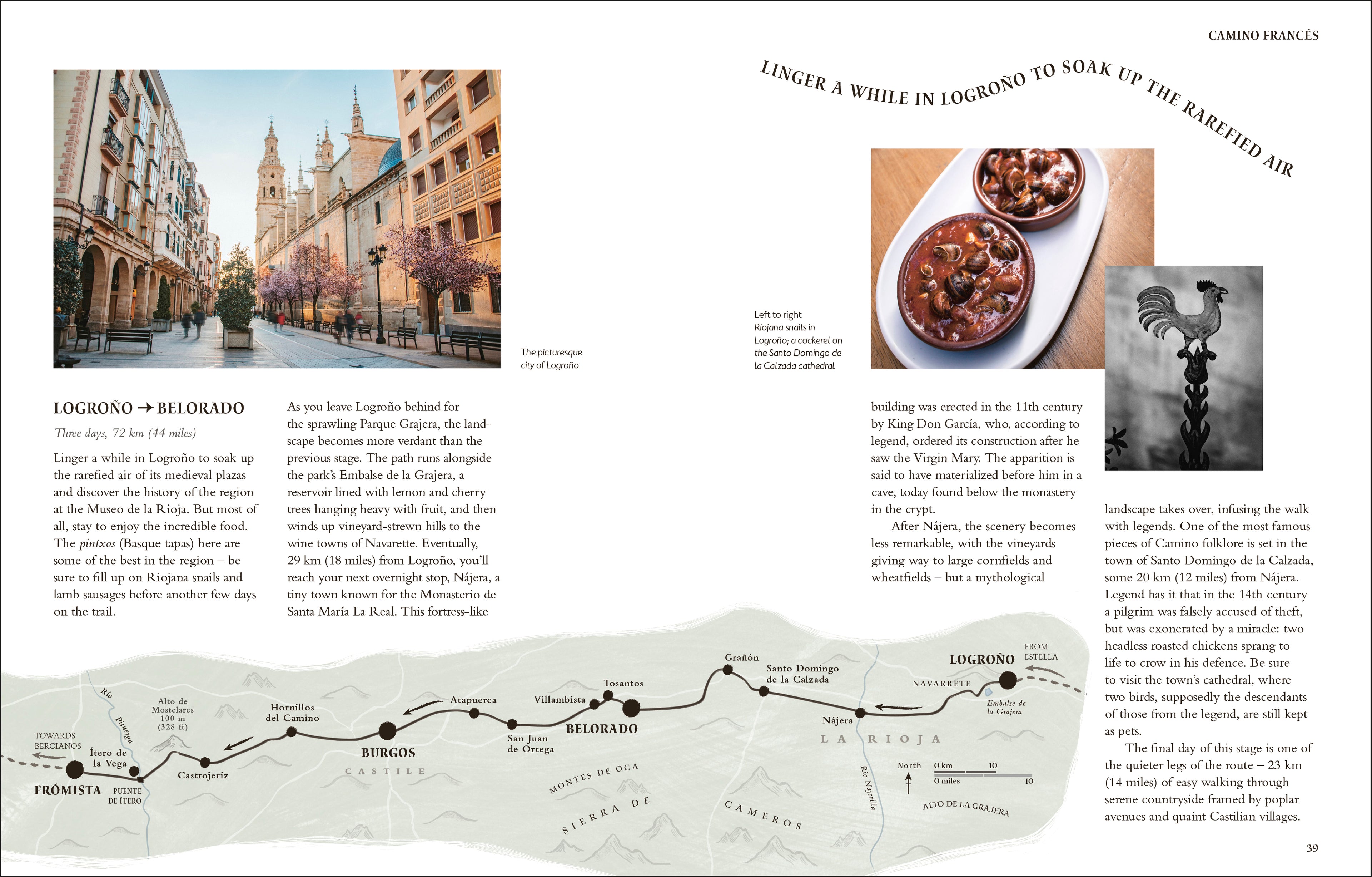 Walking the Camino de Santiago