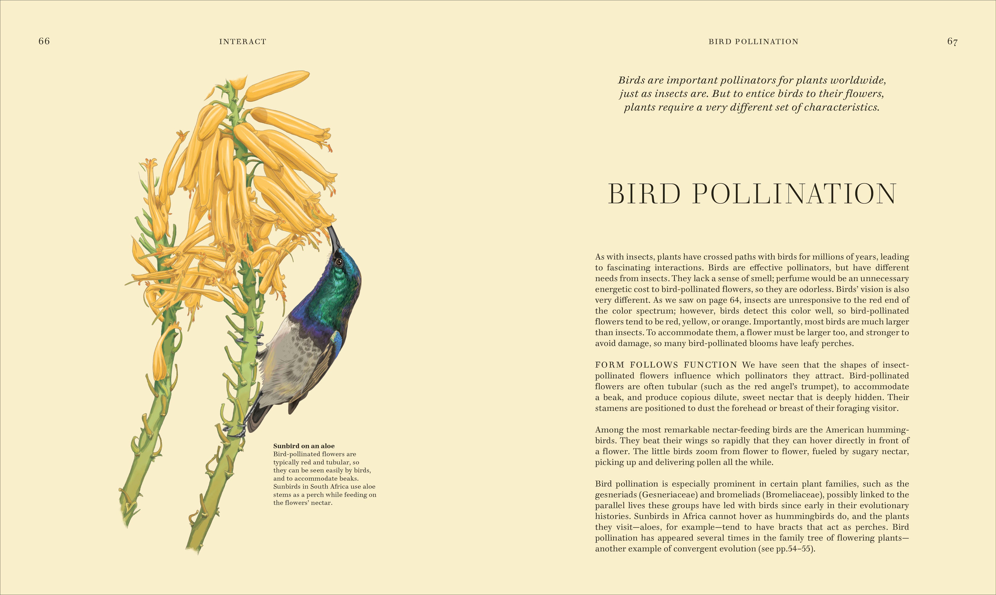 Wildflowers-Spread, Image, (PRHC, Design, Do, Not, Use)-4