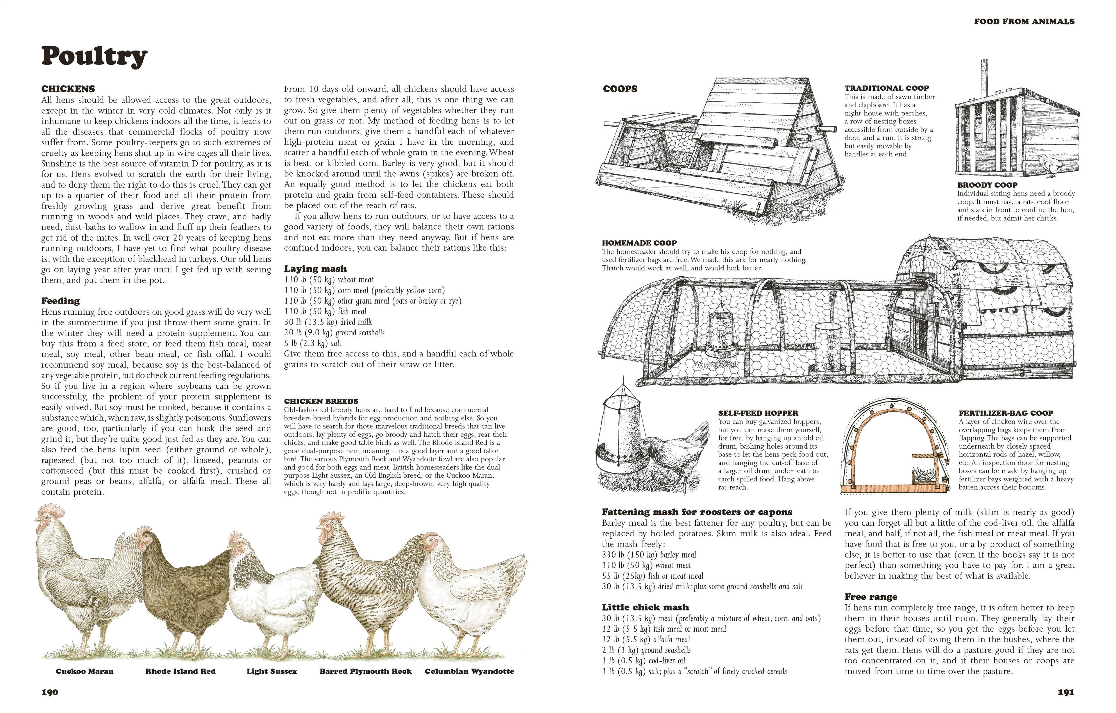 The Self-Sufficient Life and How to Live It-image