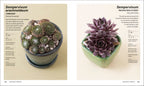 Succulents-Spread, Image, (PRHC, Design, Do, Not, Use)-9