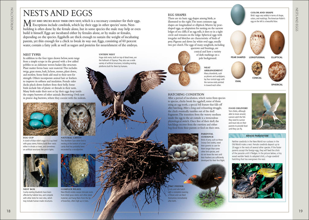 Birds of Western Canada 2nd Edition