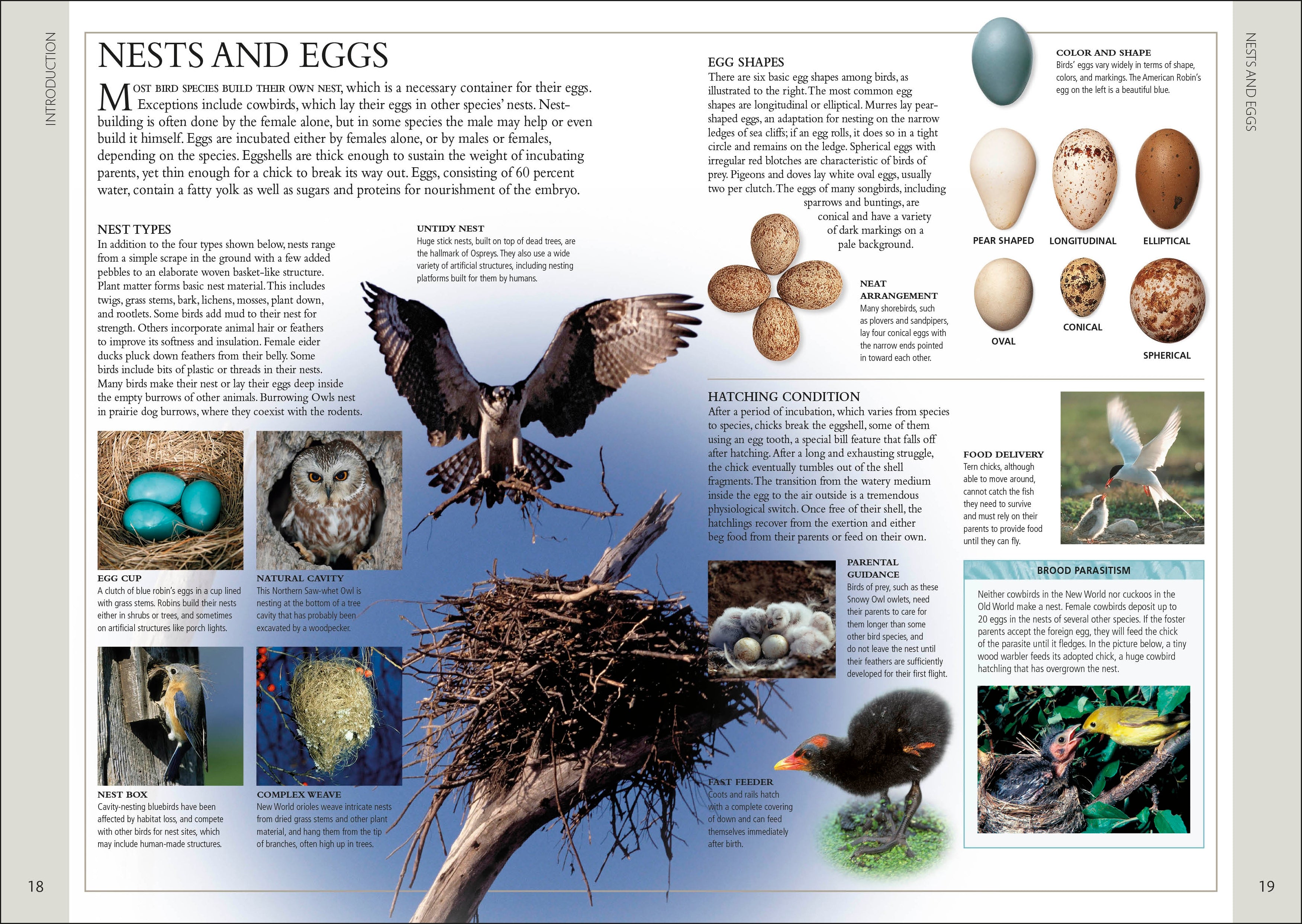 Birds of Western Canada 2nd Edition